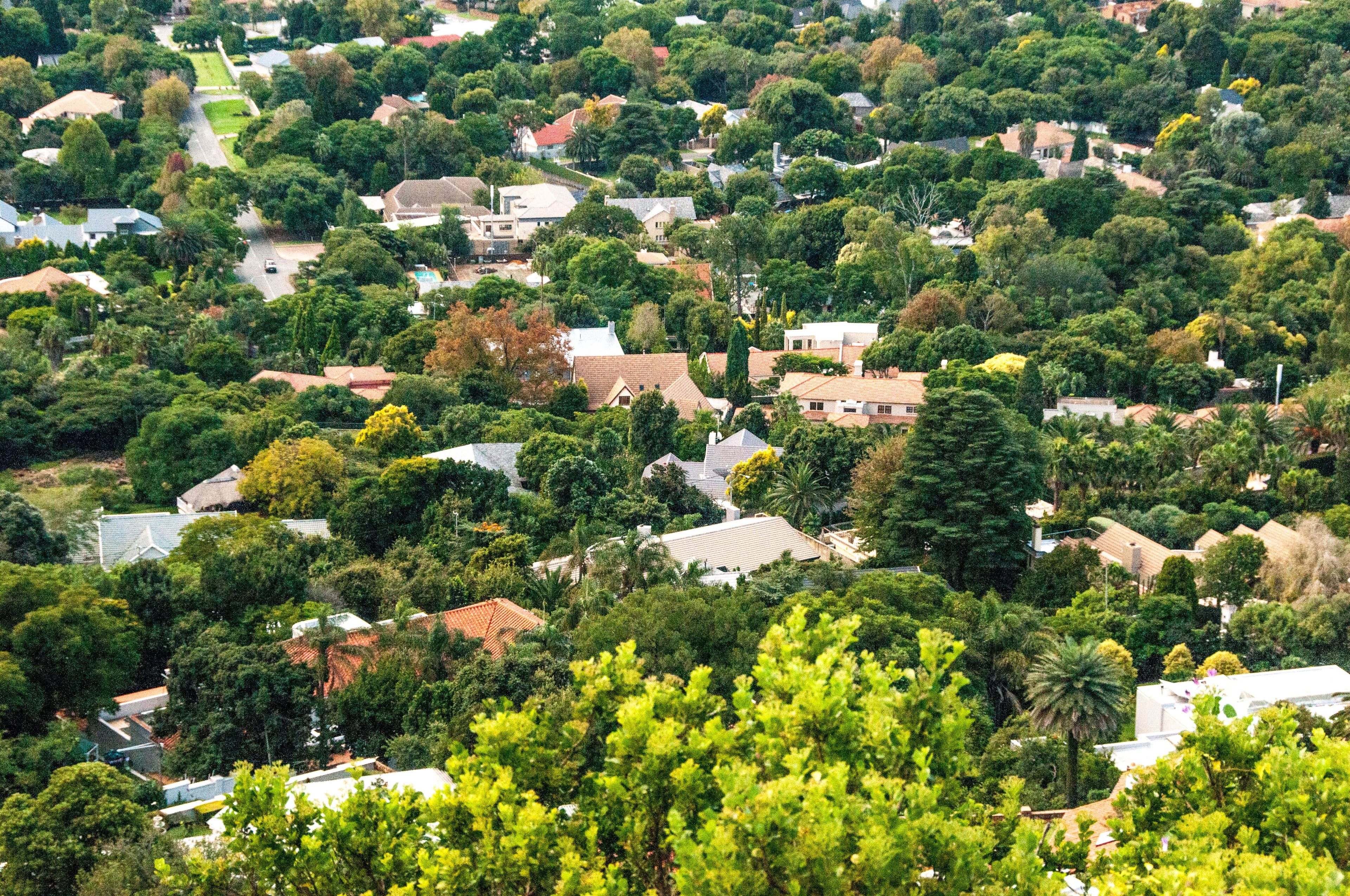 Khaya for Tenants background